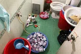 Cảnh báo thuốc kháng sinh giả lưu hành trên thị trường