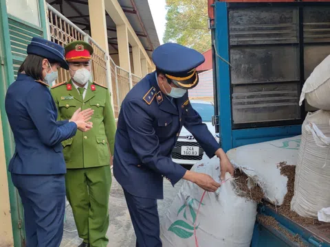 Lào Cai: Thu giữ 1.800 kg dược liệu không rõ nguồn gốc