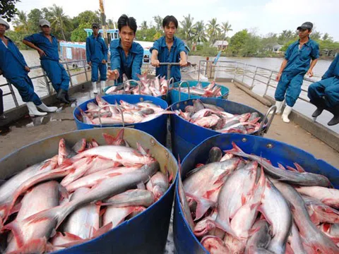 Nông sản Việt Nam vẫn phải chinh phục thị trường nội địa