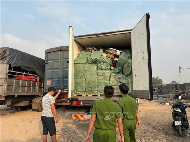 TP Hồ Chí Minh: Tạm giữ gần 30 tấn thực phẩm đông lạnh không rõ nguồn gốc