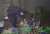 Phát hiện gần 10 tấn thực phẩm gia cầm, động vật không rõ nguồn gốc