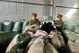 Chống buôn lậu ở Hà Tĩnh: Phá nhiều vụ vận chuyển hàng cấm, động vật quý hiếm và quần áo cũ