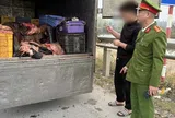 Phú Thọ: Kịp thời ngăn chặn 1,2 tấn sản phẩm động vật có dấu hiệu không bảo đảm vệ sinh thú y