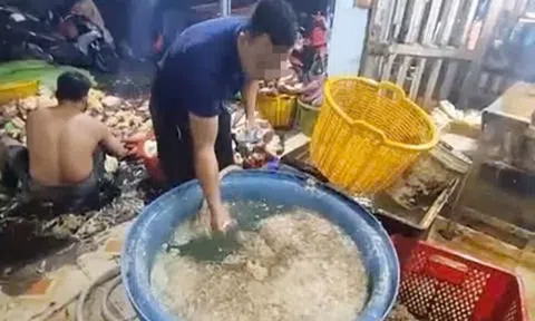 Phát hiện 3 cơ sở ở TP Hồ Chí Minh ngâm hoa chuối với hàn the, chất tẩy trắng