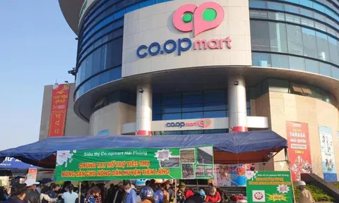 SaiGon Co.op và Vua Gạo bị cấm thầu vì cung cấp hàng kém chất lượng!?