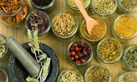 Quản lý nguyên liệu thuốc: Cục Quản lý Dược siết chặt kinh doanh, đảm bảo cung ứng và an toàn cho người dân