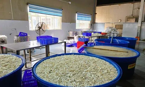 Thanh Hóa tạm giữ hơn 13 tấn chân gà ngâm hóa chất, chuẩn bị tuồn ra thị trường