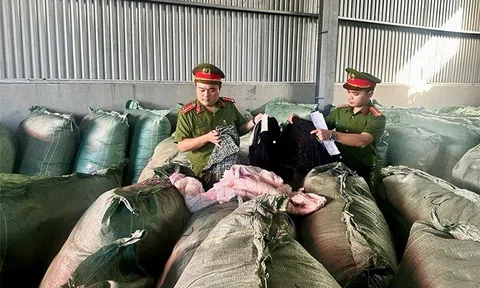 Chống buôn lậu ở Hà Tĩnh: Phá nhiều vụ vận chuyển hàng cấm, động vật quý hiếm và quần áo cũ