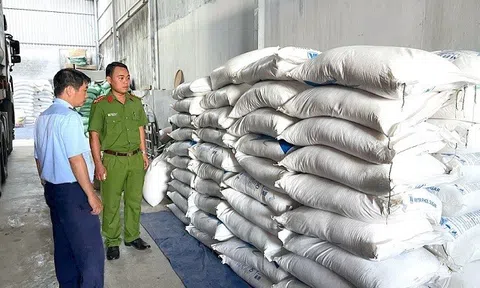 Gia Lai tạm giữ 5 tấn đường tinh luyện vận chuyển trái phép