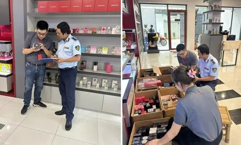Cảnh báo mỹ phẩm giả, dầu gội chứa chất diệt côn trùng