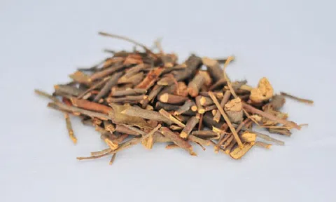 Thanh Hóa: Đình chỉ lưu hành dược liệu Tang ký sinh không