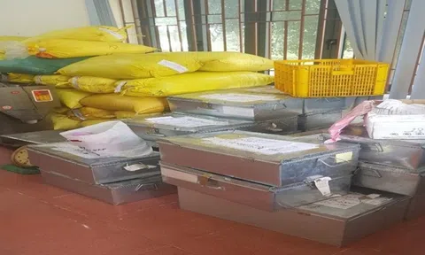 Phê chuẩn lệnh bắt nhóm đối tượng sản xuất, buôn bán cà phê giả tại Lâm Đồng