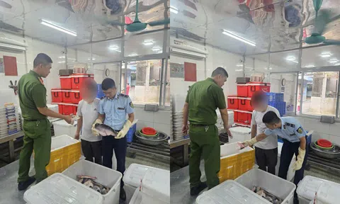 Hà Nội: Kiên quyết ngăn chặn hàng giả, hàng nhái và các hành vi gian lận thương mại