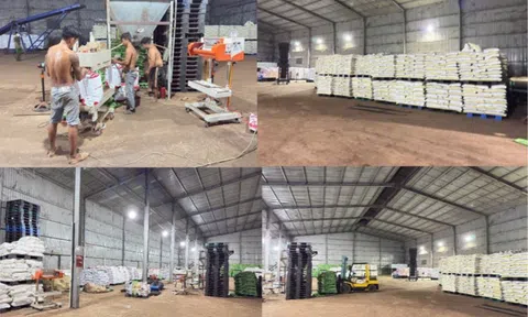 Đồng Nai: Thu nộp ngân sách 2.168 tỷ đồng, triệt phá nhiều vụ án sản xuất hàng giả