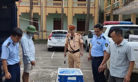 Chi Cục QLTT Phú Thọ chủ động liên kết liên ngành, bảo vệ thị trường cuối năm