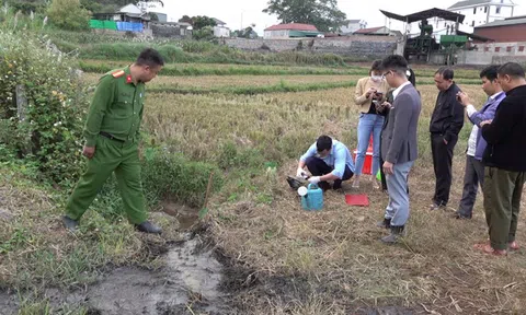 Sơn La: Xả nước thải ra môi trường, cơ sở chế biến cà phê bị xử phạt, đình chỉ hoạt động