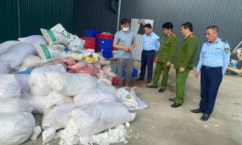 Ninh Bình: Triệt phá cơ sở kinh doanh hàng tấn thịt động vật không rõ xuất xứ