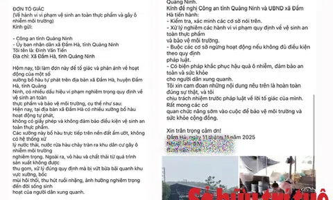 Quảng Ninh: Nhiều xưởng bóc hàu không phép ‘bức tử’ môi trường, bất chấp mọi qui định về VSATTP