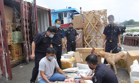 Bộ Tài chính triển khai 5 nhiệm vụ trọng tâm về chống buôn lậu, gian lận thương mại