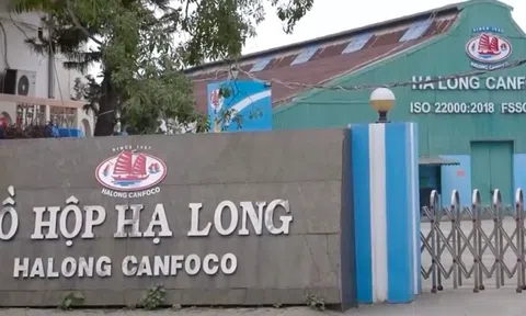 Dùng thịt lợn nhiễm dịch tả Châu Phi làm 'đồ hộp Hạ Long', hiểm họa lớn cho sức khỏe người tiêu dùng