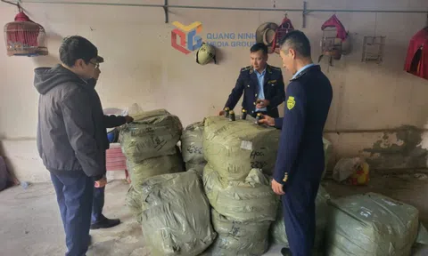 Phường Móng Cái 1: Cơ sở kinh doanh thực phẩm nhập lậu bị phạt 50 triệu đồng