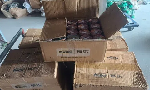 Thái Nguyên: Phạt 32 triệu đồng doanh nghiệp kinh doanh 1.700 hộp pate thú cưng nhập lậu