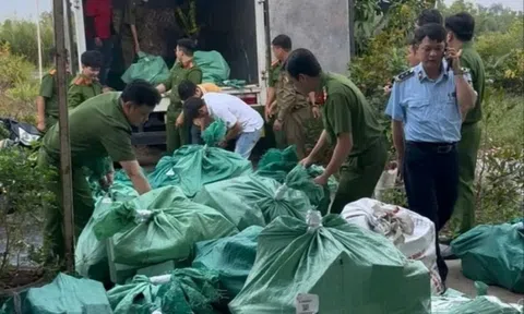 Hơn 4 tấn mỹ phẩm 3 không bị thu giữ tại Cà Mau