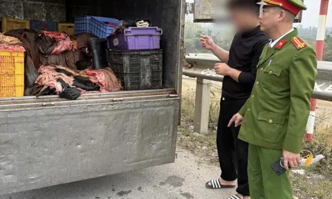 Phú Thọ: Kịp thời ngăn chặn 1,2 tấn sản phẩm động vật có dấu hiệu không bảo đảm vệ sinh thú y