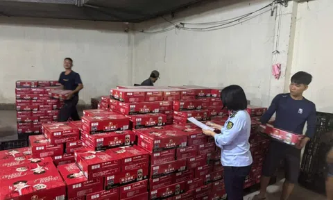 TP.HCM: Tạm giữ lô hàng hơn 3.200 thùng bia ngoại không rõ nguồn gốc, trị giá gần 700 triệu đồng