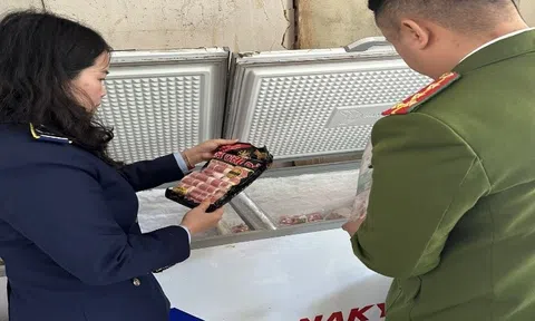 Thanh Hóa: Phạt 14 triệu đồng, buộc tiêu hủy hàng loạt thực phẩm đông lạnh vi phạm