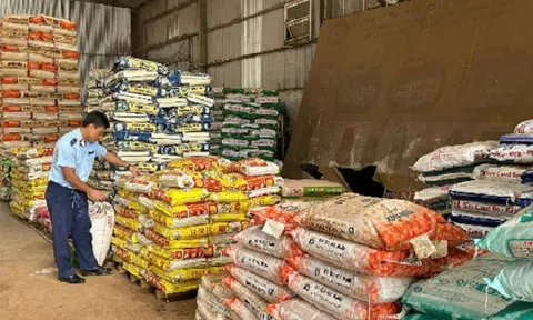 Bán phân bón kém chất lượng, một cơ sở bị phạt 175 triệu đồng