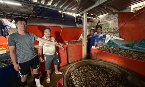 Triệt phá “xưởng” ngâm ốc bằng hóa chất công nghiệp: Hồi chuông cảnh báo về an toàn thực phẩm