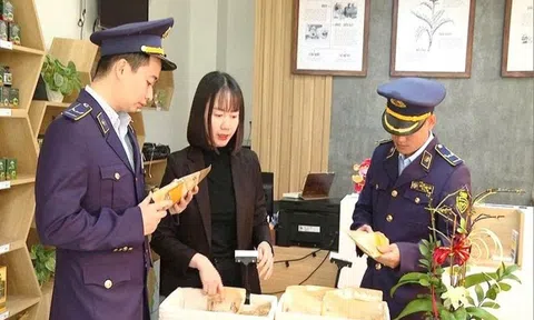 UBND tỉnh Lâm Đồng yêu cầu “rõ người, rõ việc” trong công tác chống buôn lậu