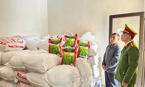 Triệt phá cơ sở sản xuất gạo giả thương hiệu “Thơm Lài Sữa” tại Hà Tĩnh