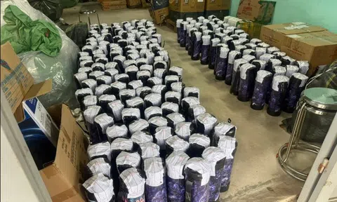 Huế: Bóc trần đường dây kinh doanh khí cười, thu giữ hơn 1 tấn N2O