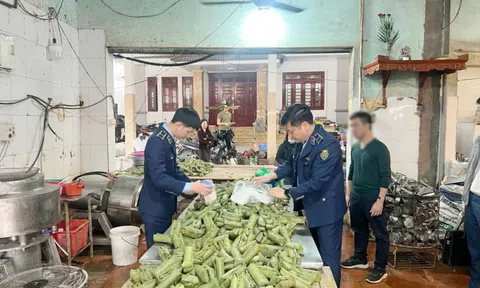 Sử dụng hàn the sản xuất giò chả, một chủ cơ sở bị khởi tố