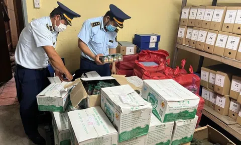 Giám sát an toàn thực phẩm