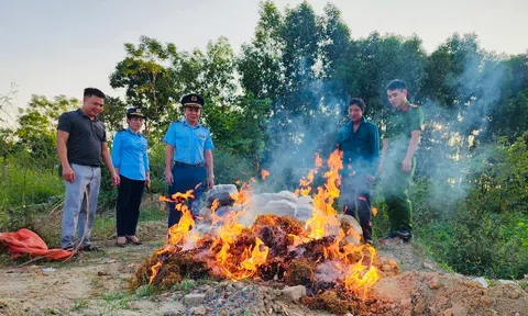 Thanh Hóa: Xử phạt, buộc tiêu huỷ 520 kg Măng khô không rõ nguồn gốc, xuất xứ