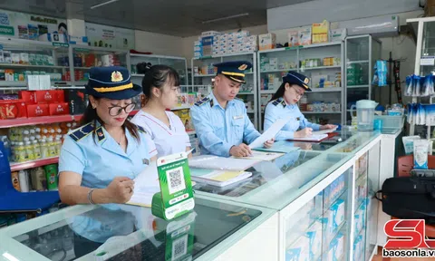 Thiết lập mạng lưới phòng, chống buôn lậu, gian lận thương mại và hàng giả