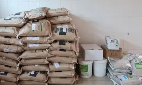 Ngăn chặn vật tư nông nghiệp giả, kém chất lượng