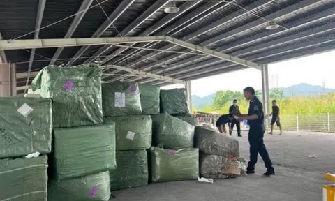 Bắt giữ 4 container hàng giả thương hiệu Louis Vuitton, Rolex, Chanel
