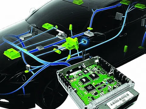 Cảnh giác với hành vi gian lận mã số để trốn thuế