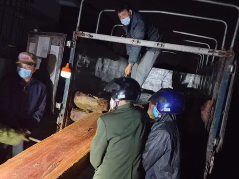 Thừa Thiên Huế: Bắt vụ vận chuyển, tàng trữ lượng lớn gỗ lậu
