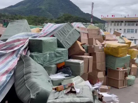 Quảng Ninh: Phát hiện, bắt giữ, xử lý 2.788 vụ