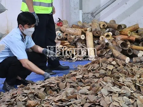Ngành Hải quan kiểm soát chặt hàng hóa xuất nhập khẩu trong Danh mục CITES