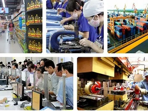 Hỗ trợ doanh nghiệp tư nhân kinh doanh bền vững