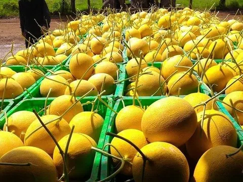Kết nối phân phối, tiêu thụ nông sản "tinh hoa hàng Việt"