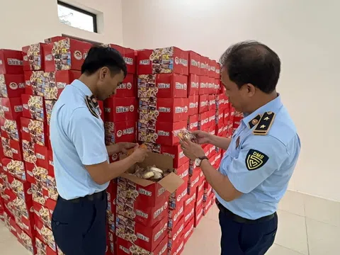 Hà Nội: Tạm giữ hàng nghìn thùng bánh bông lan nghi nhập lậu