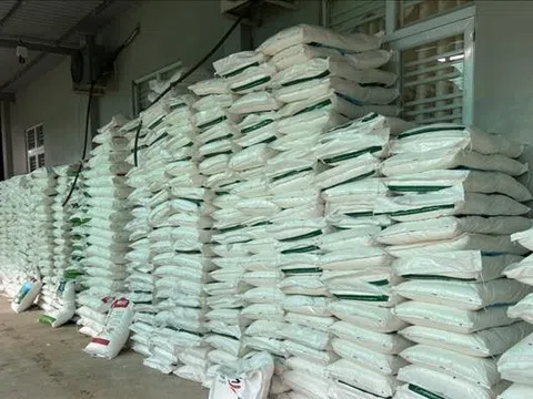 Tây Ninh: Phát hiện cơ sở sản xuất lượng lớn bột ngọt giả