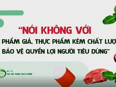 Tình trạng buôn lậu thực phẩm qua biên giới, quảng cáo thực phẩm sai sự thật diễn ra phức tạp